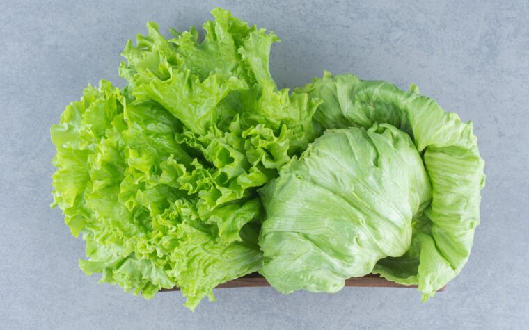 Diarreia explosiva e lechuga: partes a evitar caso de flais