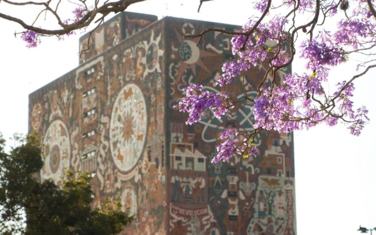 Alumnos con Pase Reglamentado têm lugar assegurado na UNAM