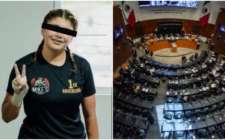 Senado revisará reglamento de academias militarizadas antigas