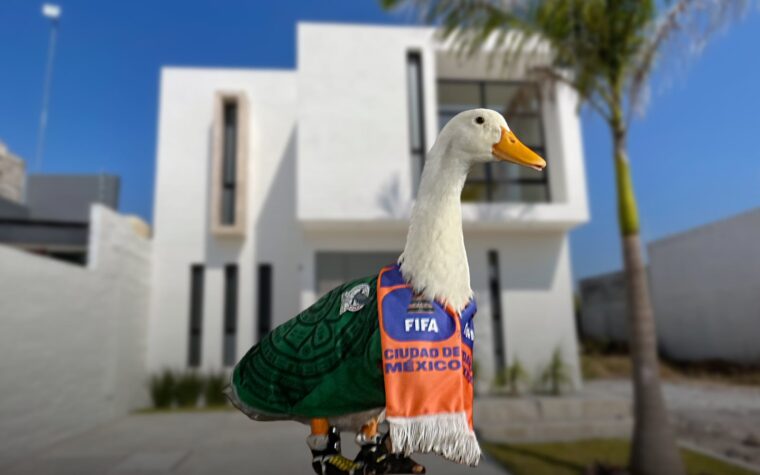 Pato Merlín recebe casa em projeto habitacional da Sheinbaum